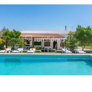 Dehesa Olive Сasa de vacaciones